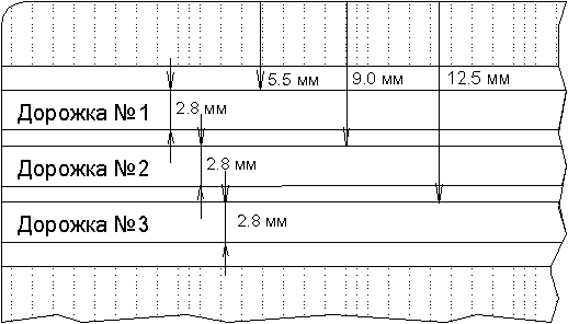расположение дорожек
